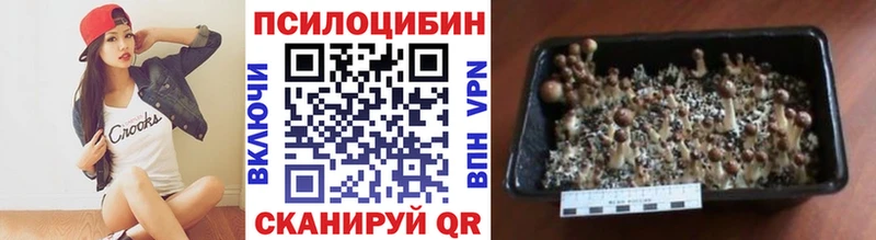 Галлюциногенные грибы мицелий  Белая Калитва 